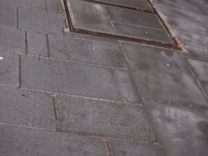 zdjęcie: anna_241.JPG