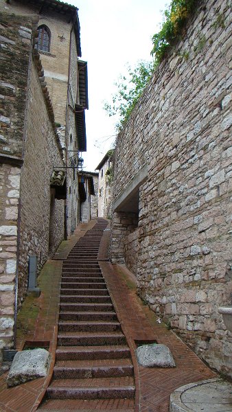 zdjęcie: DOROTA_231.JPG