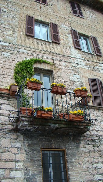 zdjęcie: DOROTA_237.JPG