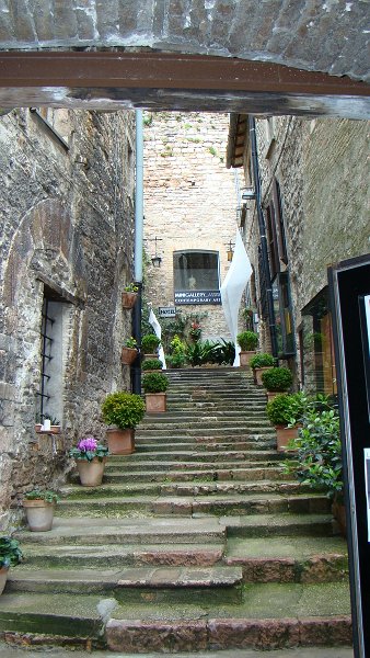 zdjęcie: DOROTA_241.JPG