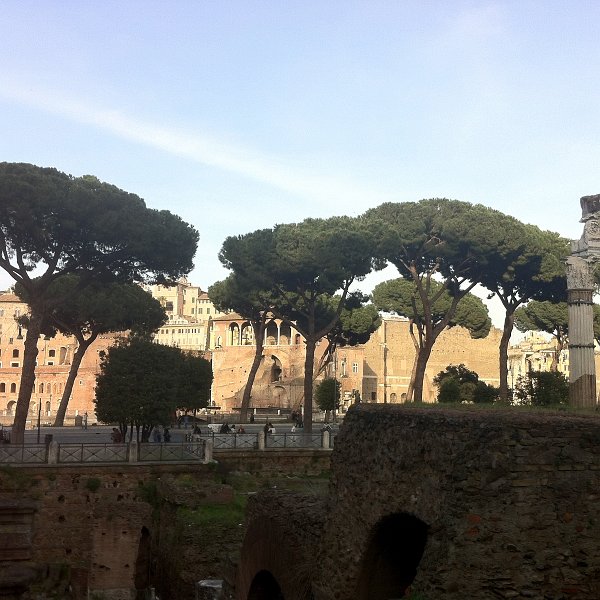 zdjęcie: DOROTA_2_161.JPG