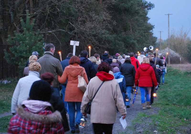 zdjęcie: DSC_0233.JPG