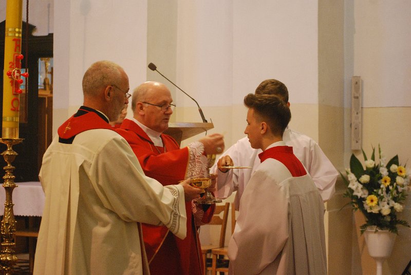 zdjęcie: DSC_0221.JPG