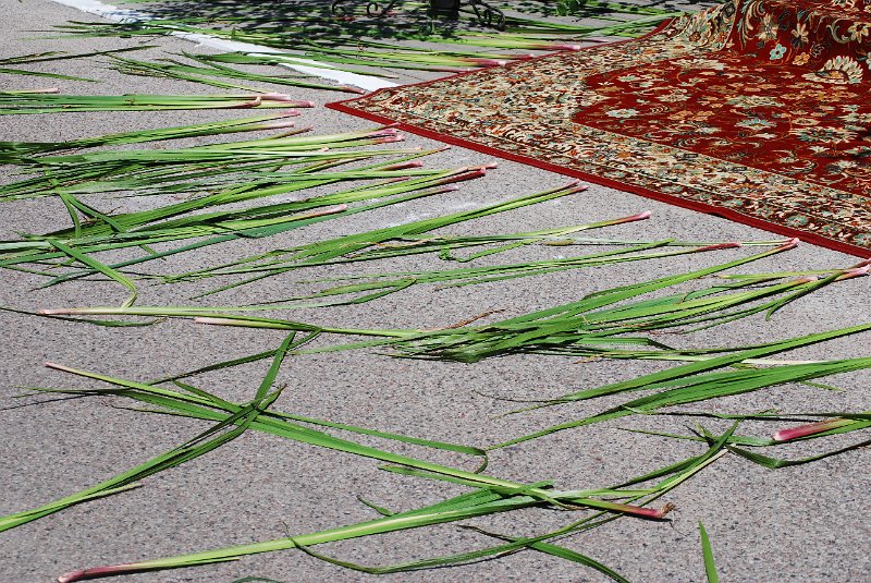 zdjęcie: DSC_0340.JPG