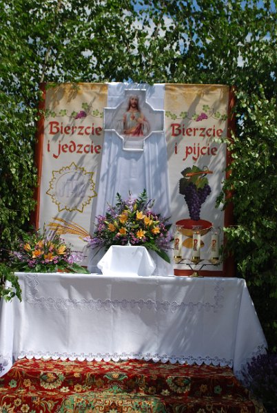 zdjęcie: DSC_0342.JPG