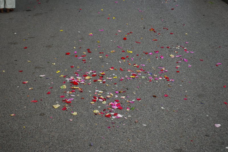 zdjęcie: DSC_0358.JPG