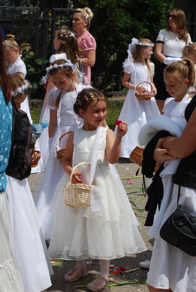 zdjęcie: DSC_0382.JPG