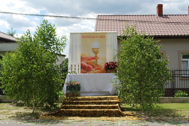 zdjęcie: DSC_0387.JPG