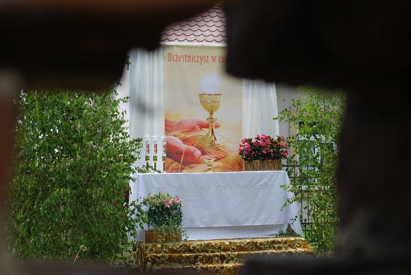 zdjęcie: DSC_0388.JPG