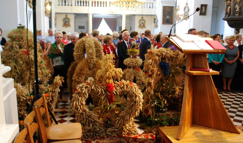 zdjęcie: DSC_0163.JPG