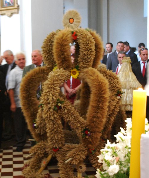 zdjęcie: DSC_0167.JPG