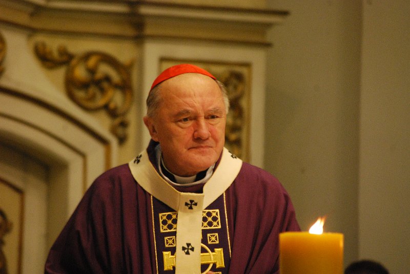 zdjęcie: DSC_0080.JPG