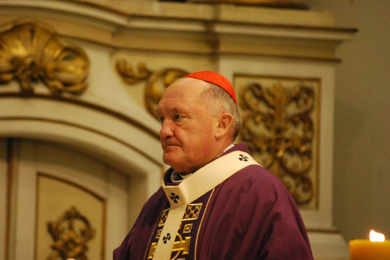 zdjęcie: DSC_0081.JPG