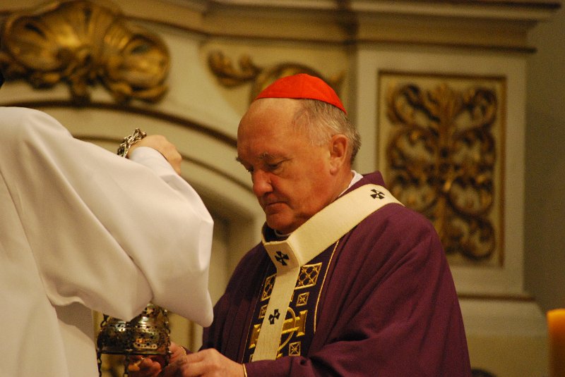 zdjęcie: DSC_0082.JPG