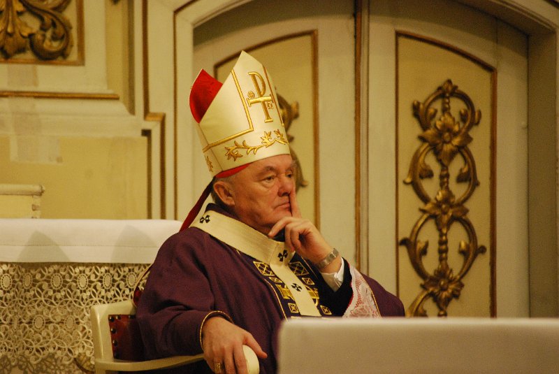 zdjęcie: DSC_0095.JPG