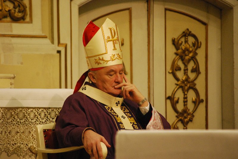 zdjęcie: DSC_0096.JPG