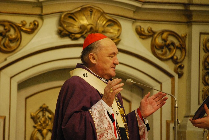 zdjęcie: DSC_0177.JPG