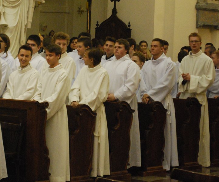 zdjęcie: DSC_0234.JPG