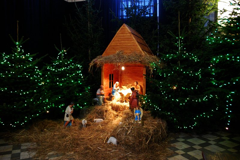 zdjęcie: DSC_0216.JPG