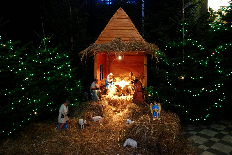 zdjęcie: DSC_0219.JPG