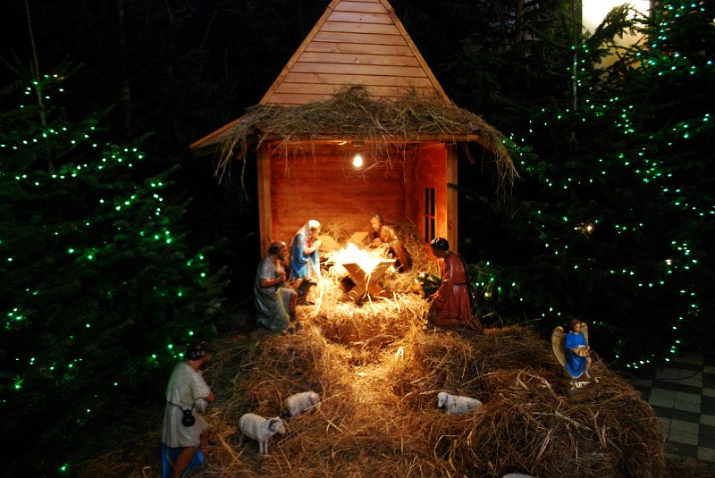 zdjęcie: DSC_0220.JPG