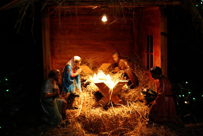 zdjęcie: DSC_0221.JPG