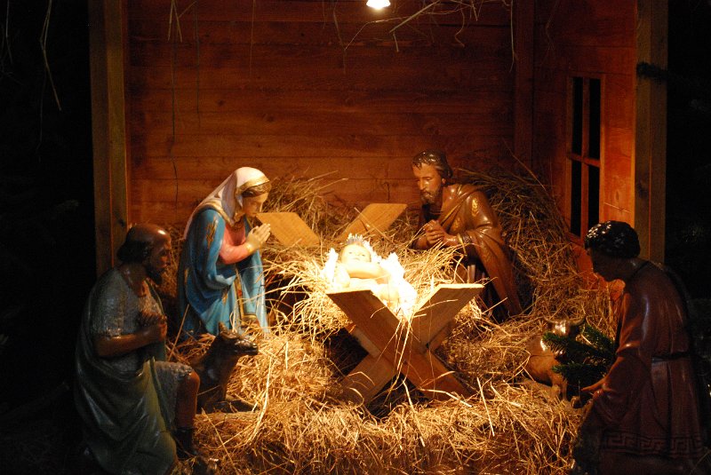 zdjęcie: DSC_0223.JPG