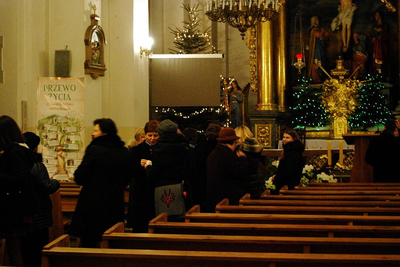 zdjęcie: DSC_0215.JPG