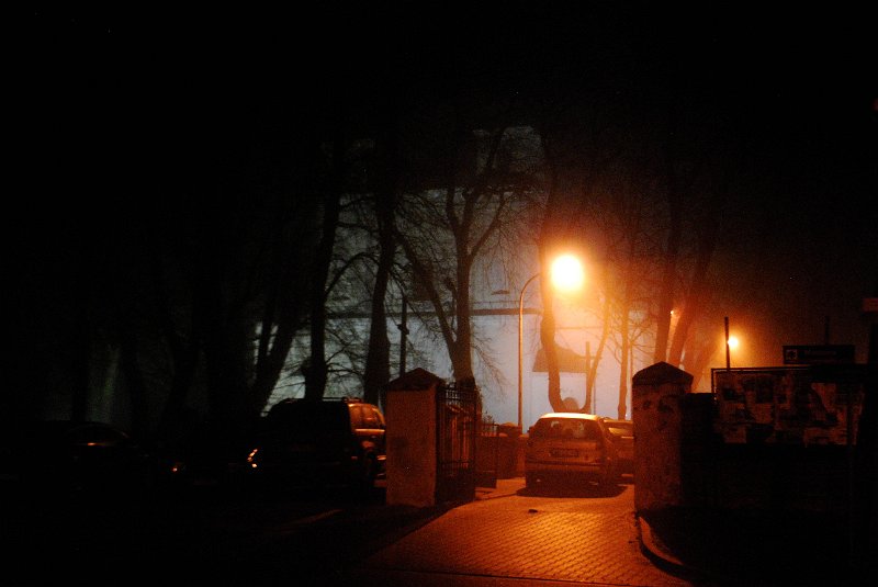 zdjęcie: DSC_0313.JPG