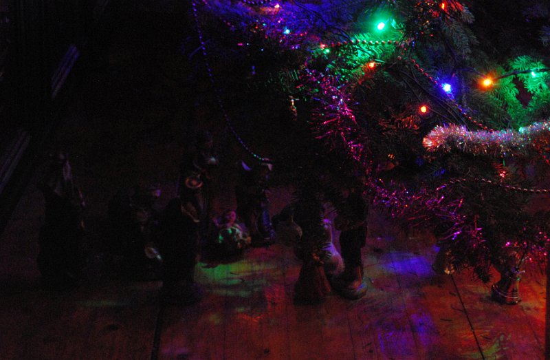 zdjęcie: DSC_0233.jpg