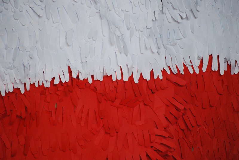 zdjęcie: DSC_0272.JPG