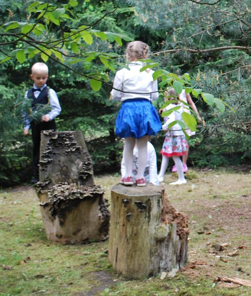 zdjęcie: DSC_0263_a.jpg