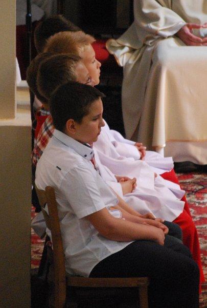 zdjęcie: DSC_0012.JPG