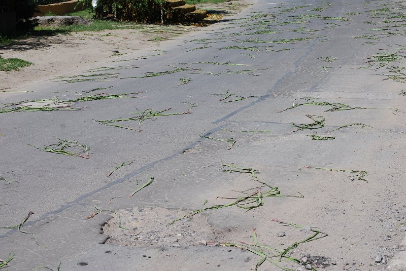 zdjęcie: DSC_0040.JPG