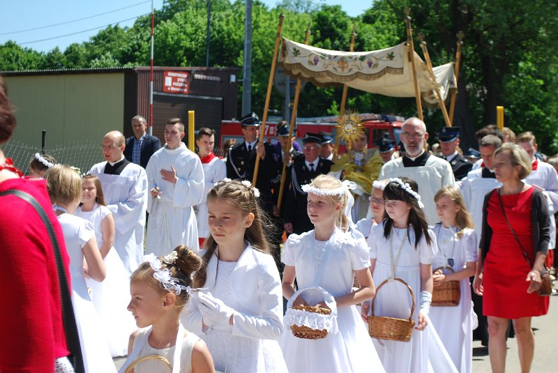 zdjęcie: DSC_0065.JPG