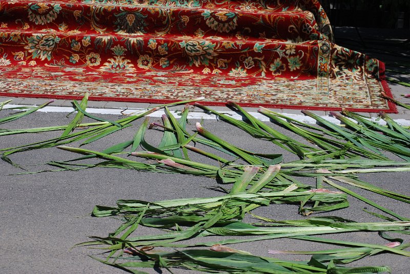 zdjęcie: DSC_0078.JPG