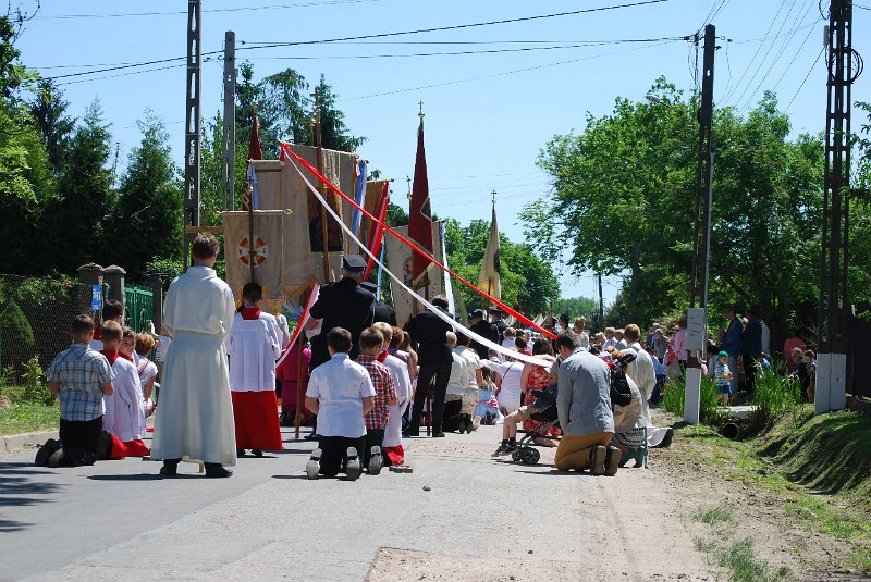 zdjęcie: DSC_0087.JPG