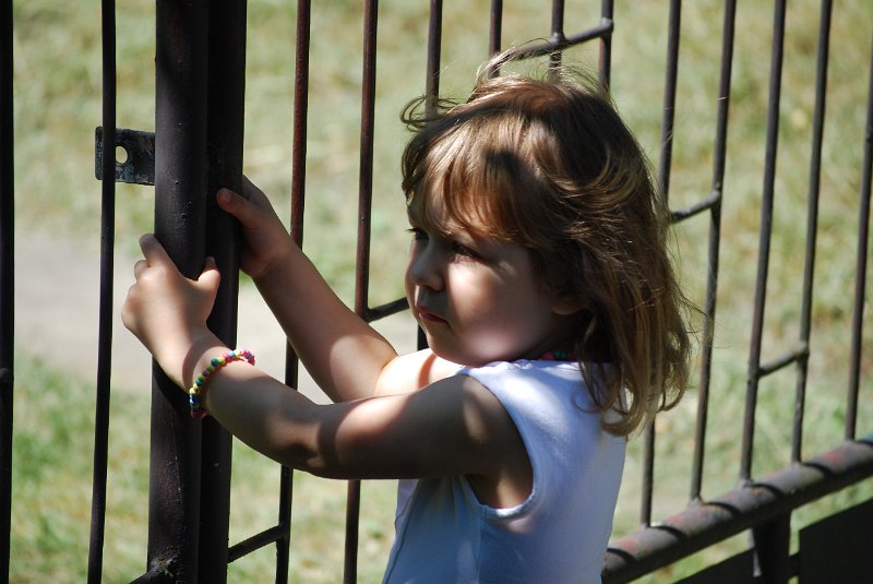 zdjęcie: DSC_0113.JPG