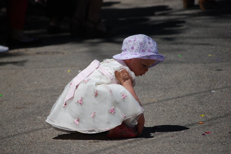 zdjęcie: DSC_0119.JPG