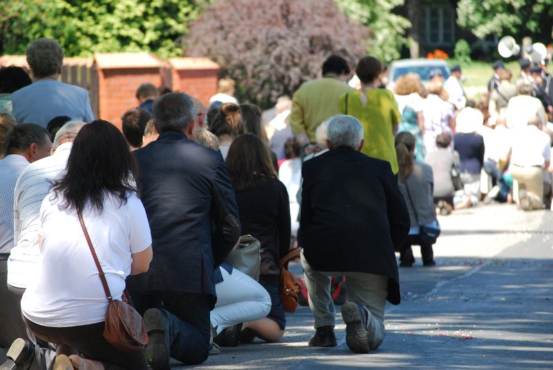 zdjęcie: DSC_0123.JPG