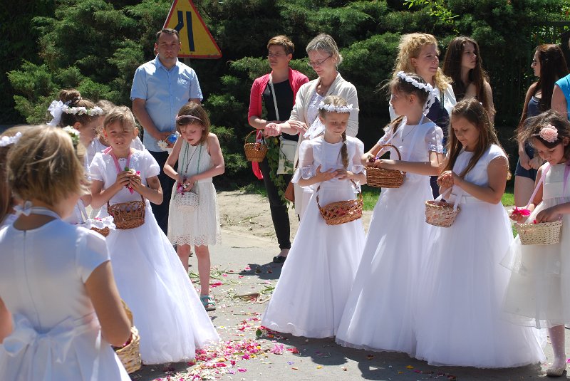 zdjęcie: DSC_0162.JPG