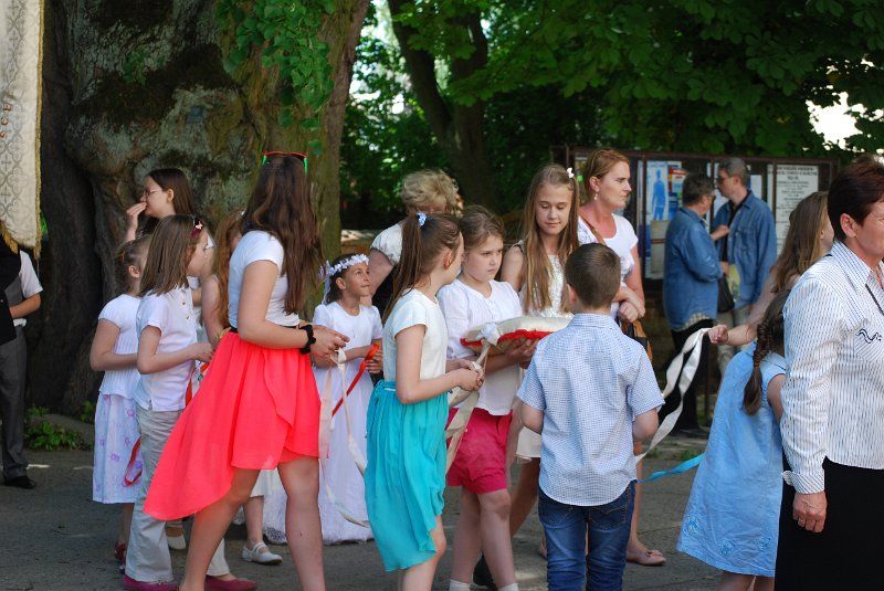 zdjęcie: DSC_0165.JPG