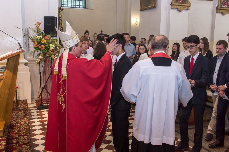 zdjęcie: DSC07919.JPG