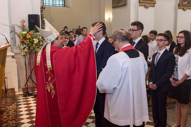 zdjęcie: DSC07925.JPG