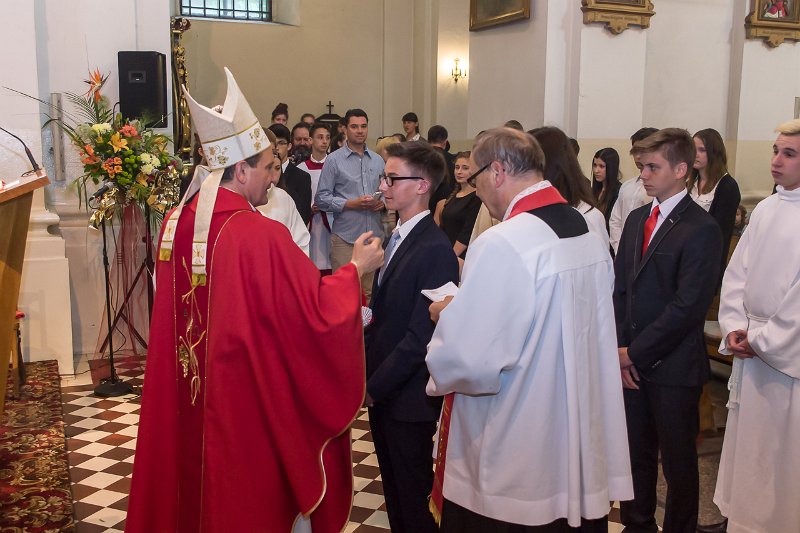 zdjęcie: DSC07930.JPG