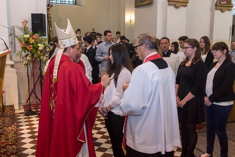 zdjęcie: DSC07937.JPG