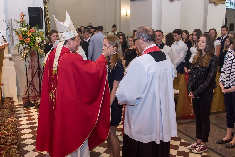 zdjęcie: DSC07951.JPG