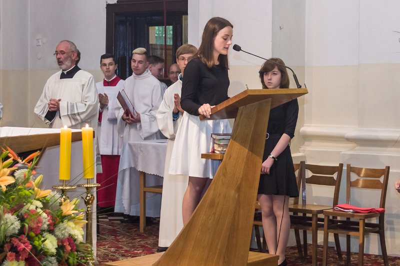 zdjęcie: DSC07974.JPG