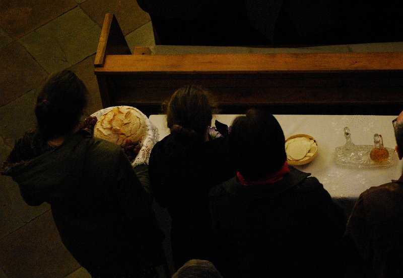 zdjęcie: DSC_0091.JPG