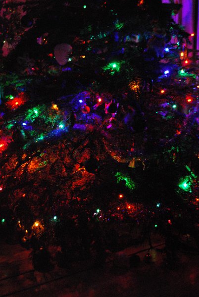 zdjęcie: DSC_0393.JPG